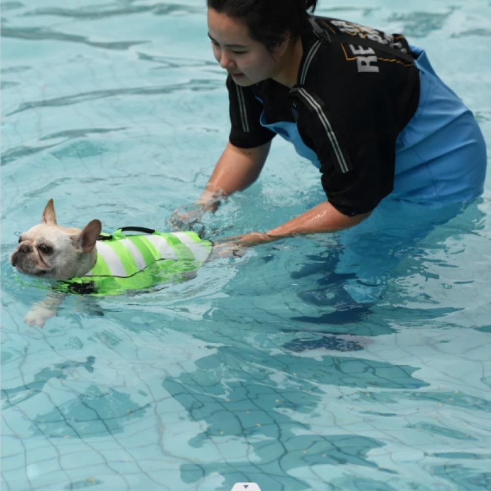 Reflective Dog Life Jacket Sup - Life Jacket Buoyancy review and price