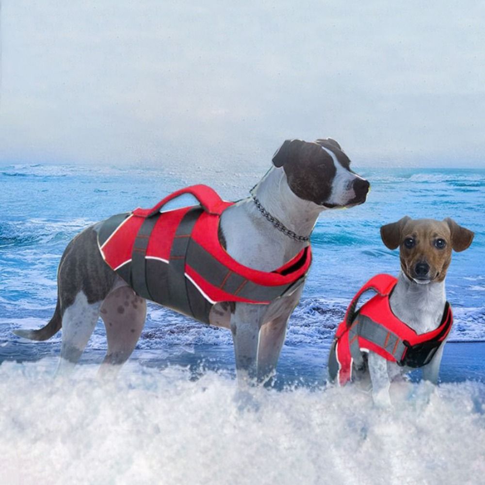 Reflective Dog Life Jacket Adj - Life Jacket Buoyancy review and price